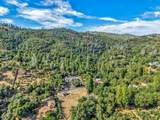 1510 Hanging Tree Road - Photo 37