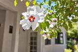 4932 Roselin Way - Photo 86