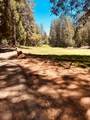 633-01 Forest Meadows Drive - Photo 1