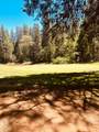 633-01 Forest Meadows Drive - Photo 10