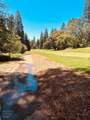633-01 Forest Meadows Drive - Photo 12
