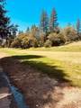 633-01 Forest Meadows Drive - Photo 7