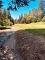 633-01 Forest Meadows Drive - Photo 8