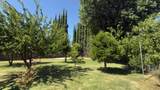 5885 Cohn Avenue - Photo 19