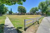 3631 Galena Drive - Photo 35