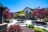 1510 Topanga Lane - Photo 24