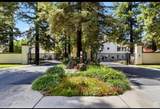 3701 Colonial Drive - Photo 2