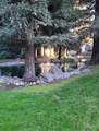 3701 Colonial Drive - Photo 6