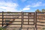 22952 Bird Road - Photo 12