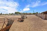 22952 Bird Road - Photo 13
