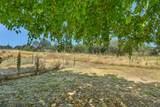 344 Diamond Oaks Road - Photo 53