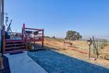 9717 Banderilla Drive - Photo 25