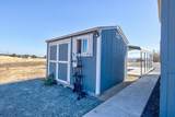 9717 Banderilla Drive - Photo 33