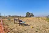 9717 Banderilla Drive - Photo 40