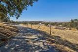 4115 Arbolada Drive - Photo 47