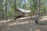 7470 Lion Alley - Photo 46