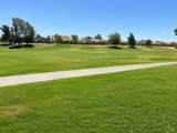 389 Cedar Ridge Drive - Photo 31