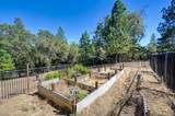 20758 Manzanita Hills Road - Photo 85