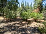 5220 Cosumnes Mine Road - Photo 14