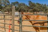 4276 Chili Camp Road - Photo 39