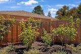 12425 Woodside Drive - Photo 34