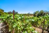 620 Smith Flat Road - Photo 48