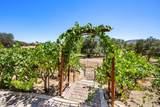 620 Smith Flat Road - Photo 49