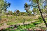 10411 Rough And Ready Road - Photo 46
