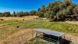 10411 Rough And Ready Road - Photo 58
