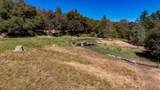 10411 Rough And Ready Road - Photo 59