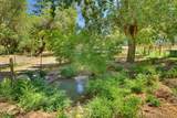 10411 Rough And Ready Road - Photo 61