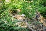 10411 Rough And Ready Road - Photo 62