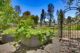 10411 Rough And Ready Road - Photo 66