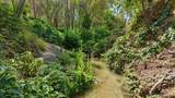 10411 Rough And Ready Road - Photo 75