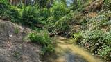 10411 Rough And Ready Road - Photo 76