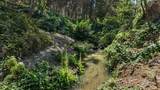 10411 Rough And Ready Road - Photo 78