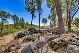 10411 Rough And Ready Road - Photo 79