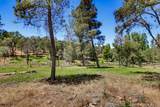 10411 Rough And Ready Road - Photo 80