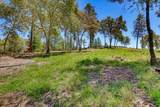 10411 Rough And Ready Road - Photo 81