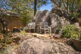 14354 Sun Forest Drive - Photo 49