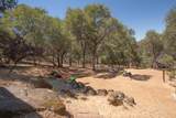 14354 Sun Forest Drive - Photo 62