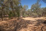 14354 Sun Forest Drive - Photo 63