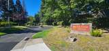 7427 Black Tree Lane - Photo 29
