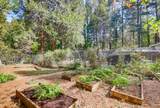 12669 Pasquale Road - Photo 48