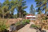 19275 Adamson Drive - Photo 17