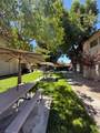 3701 Colonial Drive - Photo 29