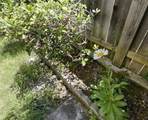 7301 Villa Del Sol Lane - Photo 32