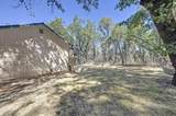 5271 Caprine Road - Photo 37