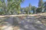 5271 Caprine Road - Photo 50