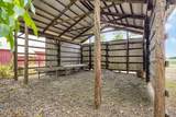 916 Wilson Bend Road - Photo 46